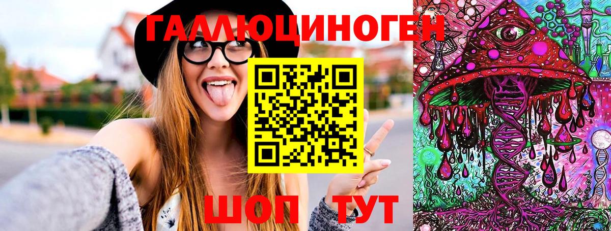 Искитим  Псилоцибиновые грибы MAGIC MUSHROOMS  Вход с VPN 